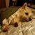 Darla Bussinger's profile image