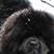 Shara Skidmore's profile image