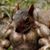 Billy Handley's profile image