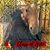 Harley Sims's profile image