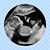 Louis Rossi's profile image