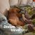 Paula Johnson Dagenhart's profile image