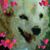 Sue Welch's profile image