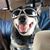 Sandra Fardos's profile image