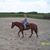 Junie Wood's profile image