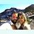 Tara Alipourian's profile image