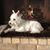 Sunny Walters's profile image