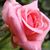Clare Sullivan's profile image