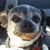Carma Collins's profile image
