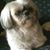 Doris Shaffer Hughan's profile image