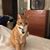 Gretchen DeWilliams's profile image