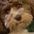 Jennifer Good's profile image