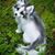 Vicki Keel's profile image