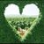 Ann Marie Keith's profile image