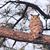 Shannon Blaylock's profile image