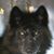 Randall Frair's profile image
