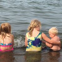 Lynne Warnick's profile image