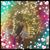 Terri Lynne's profile image
