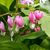 Rita Sabean Vatter's profile image
