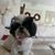 Jan Kapnick's profile image