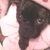 Stephanie Combs's profile image