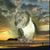 Christine Hutchens's profile image