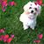 Xianling Liao's profile image