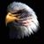 Darla Armfield's profile image