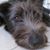 Lee Ann Batchelder's profile image