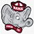 Stephanie White Toxey's profile image