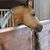 Tracey Bumpus Cummings's profile image