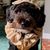 Kelly Routh's profile image