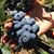 Lorri Duckworth's profile image