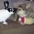 Sandy Cole Menard's profile image