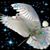 Linda Kutac Charanza's profile image