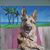 Herb Vonderau's profile image