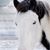 Marsha Anderson's profile image