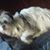 Susan Sweeney's profile image