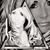 Leslie Zogleman's profile image