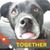 Michelle Perrotto Sullivan's profile image