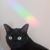 Renee Greenland's profile image