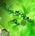 Michelle Runnels's profile image