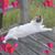 Zoey Marie Blythe's profile image