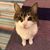 Cathlyn K Haigh's profile image