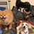 Tracy Blare's profile image
