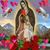 Norma Ramirez's profile image
