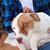 Susan Trahan's profile image