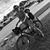 Victoria Fontenot's profile image