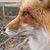 Shauna Nichole's profile image