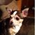 Linda Wheatley's profile image
